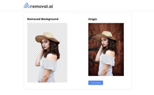 Removal.AI Free Background Eraser Tool for ECommerce Business