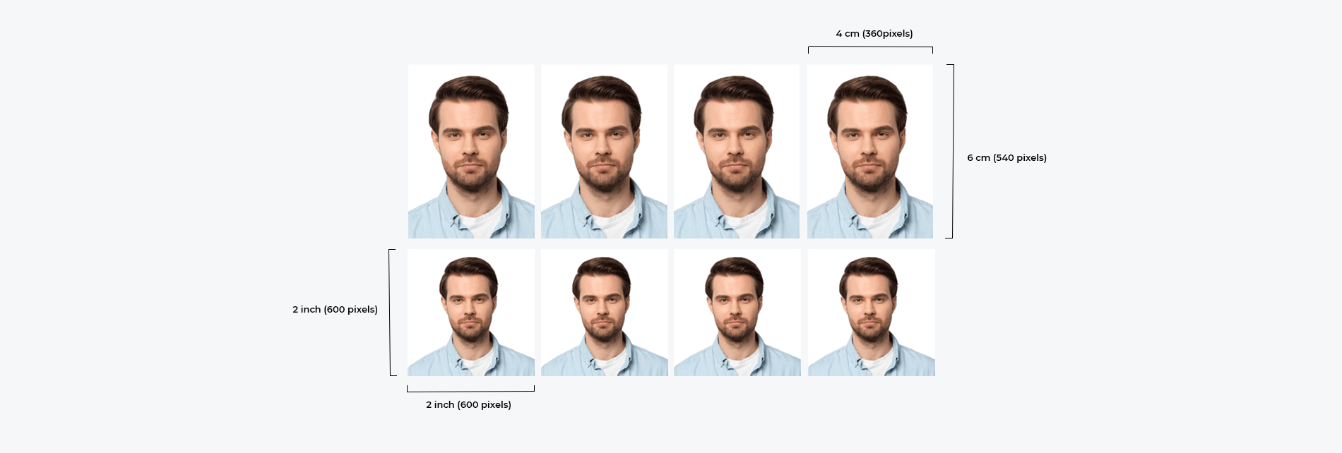 Passport Photo Male Images – Browse 3,521 Stock Photos, Vectors, and Video  | Adobe Stock