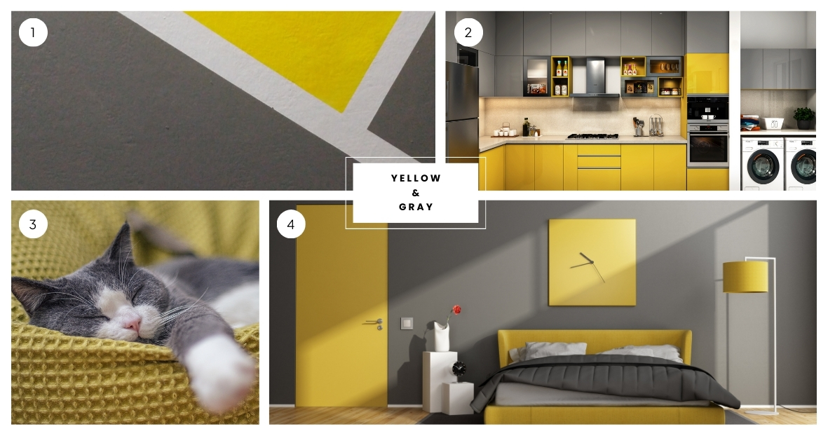 Yellow & Gray Color Palette