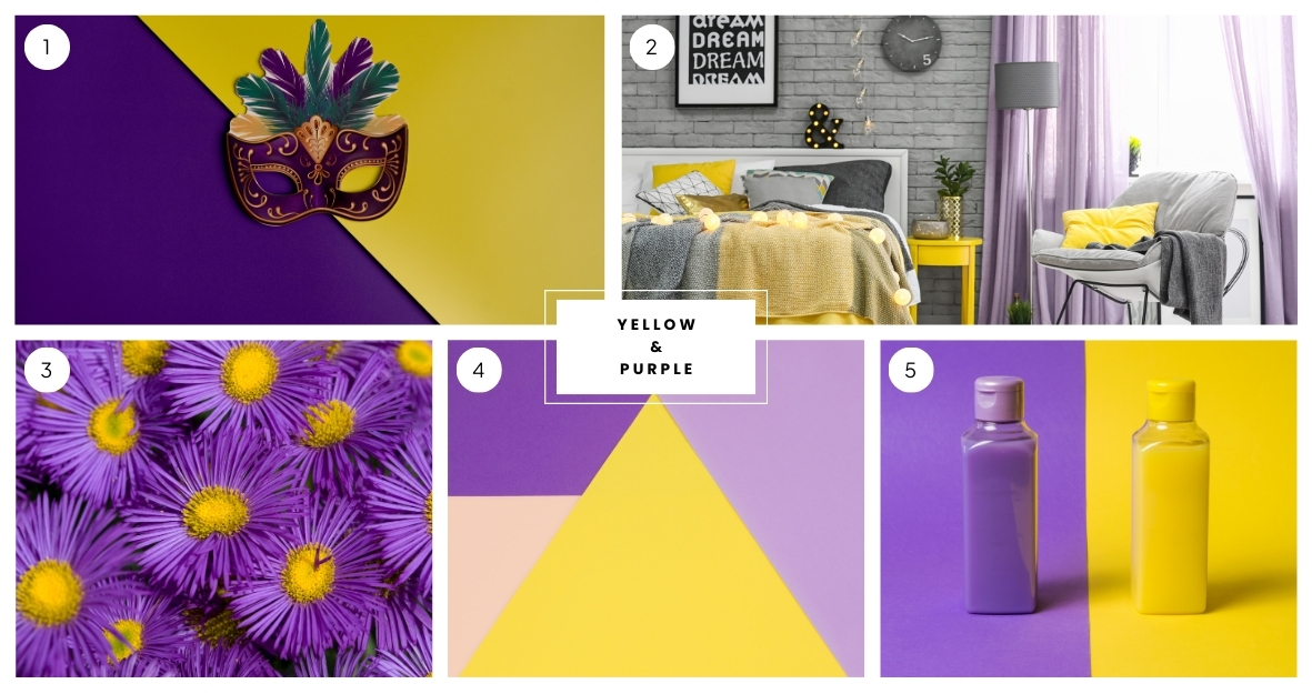 Yellow & Purple Color Palette