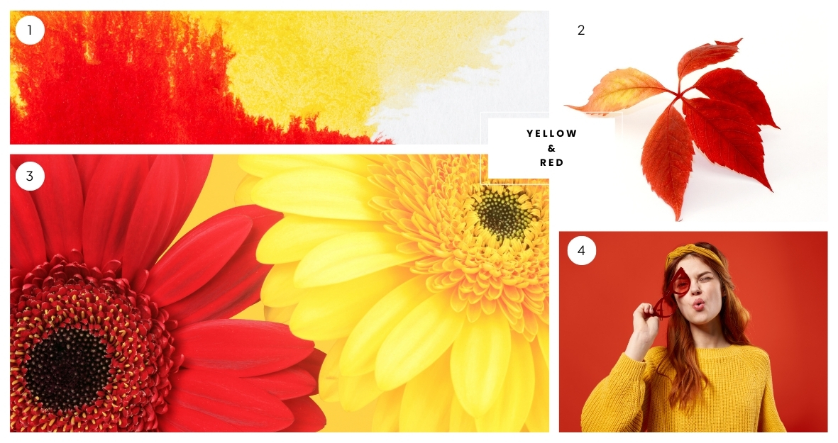 Yellow & Red Color Palette